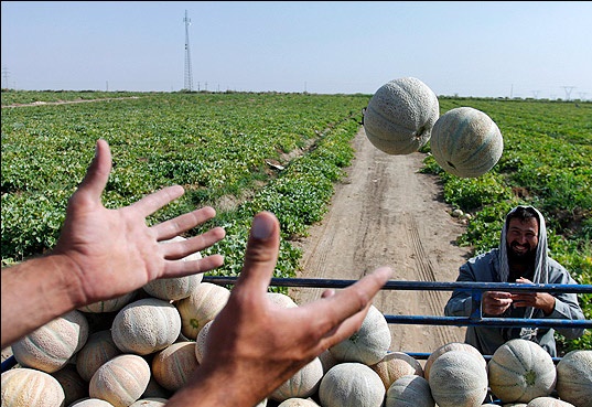 پیش‌نمایش