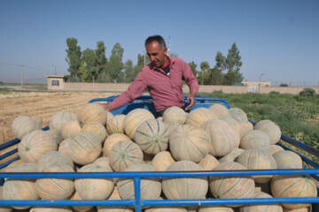 پیش‌نمایش