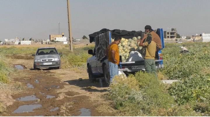 پیش‌نمایش