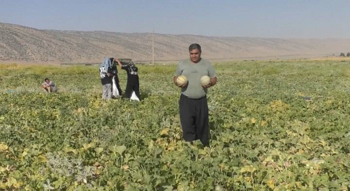 پیش‌نمایش