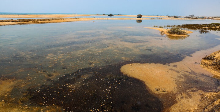 پیش‌نمایش