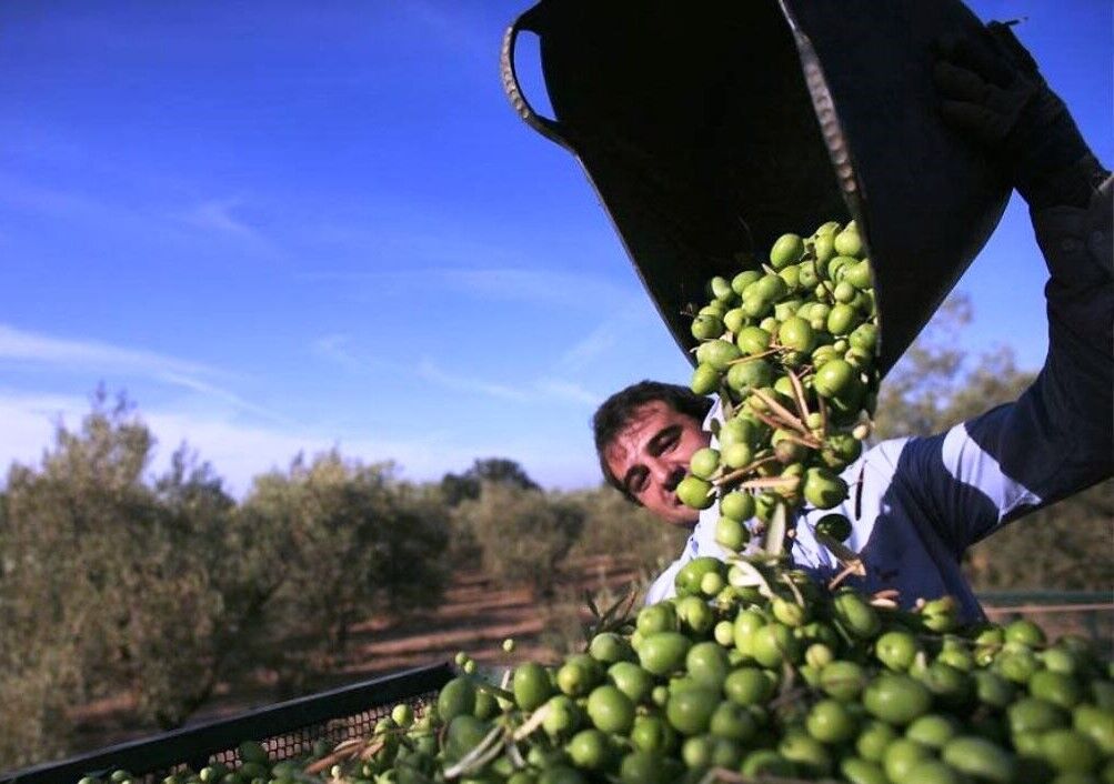 پیش‌نمایش