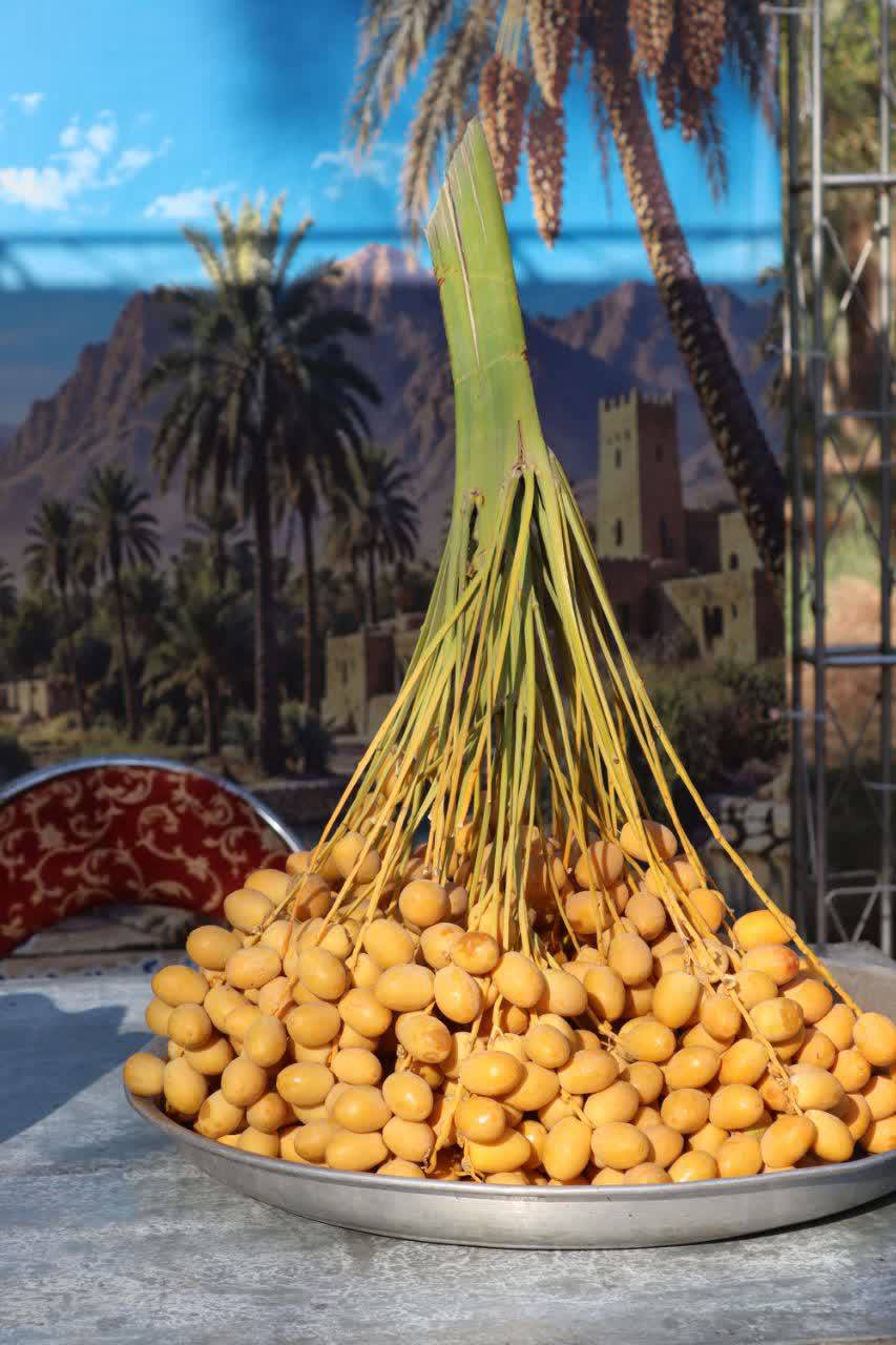 پیش‌نمایش